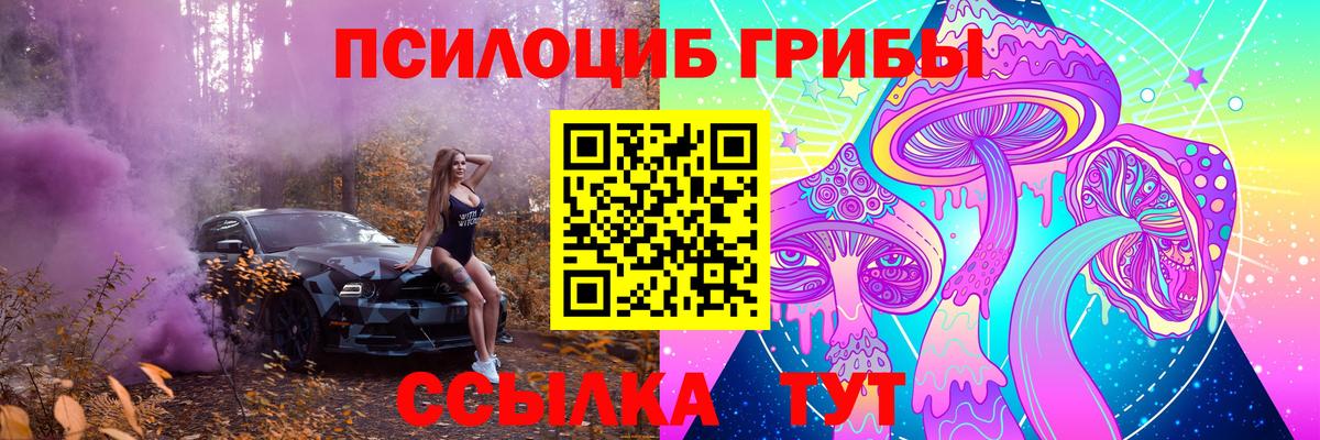 Ногинск  Галлюциногенные грибы Psilocybe  Вход с VPN 